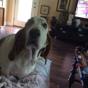 Meet your Posher, April